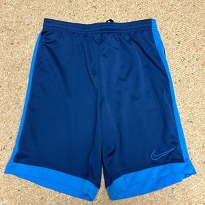 Boys Nike Dri Fit Shorts sz. Large